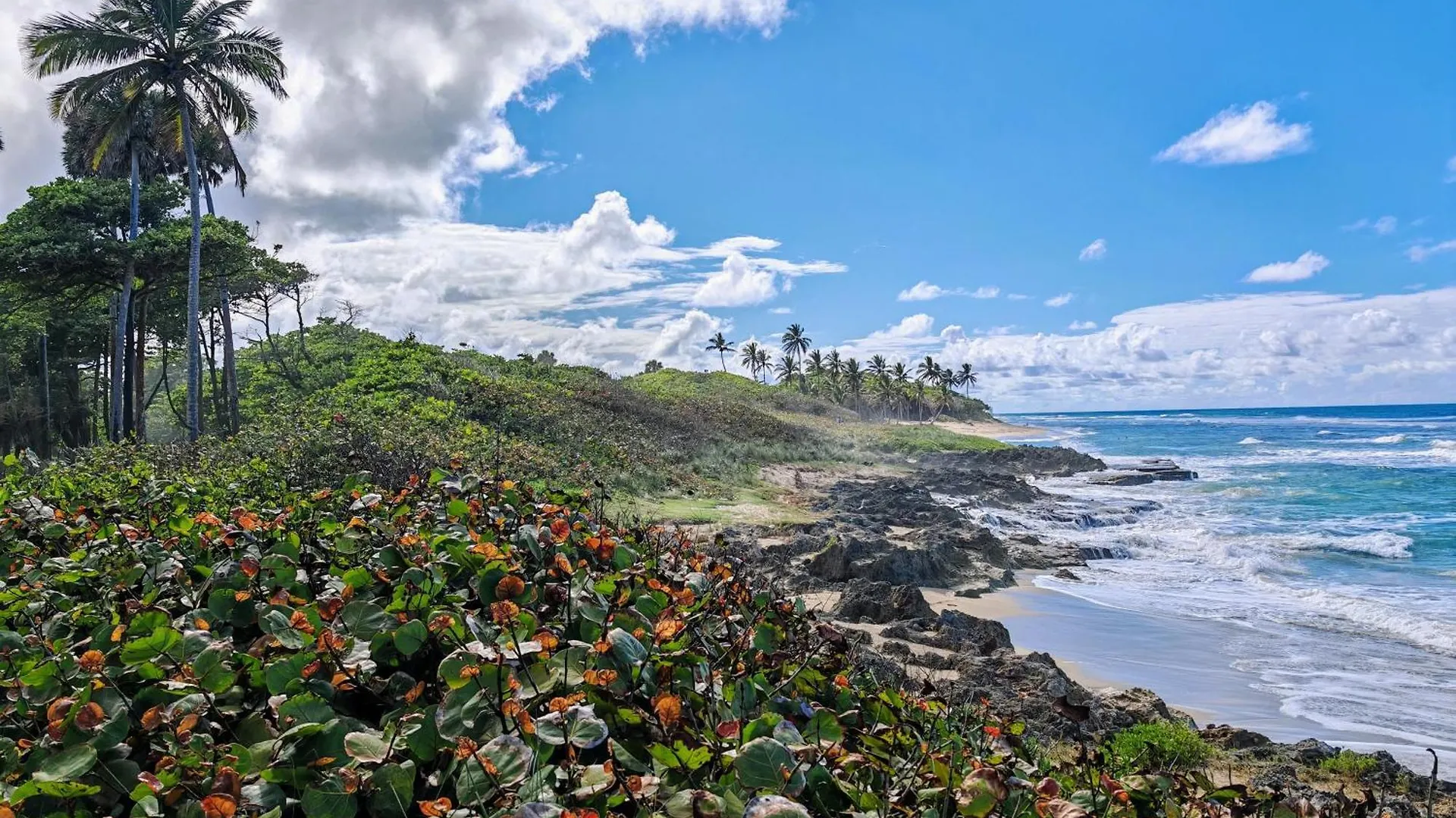 Hotel Surf One Sosúa